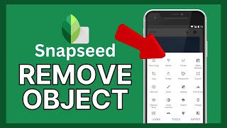 How to Remove Objects in Snapseed 2024 [upl. by Mcripley]