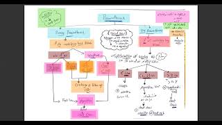 NICE Guidelines for Management of Pneumothorax [upl. by Essex]