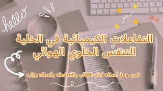 الناس لما تعرف quot الدين مسموح quot 😂 [upl. by Warton85]