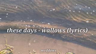 these days  wallows lyrics [upl. by Korman]