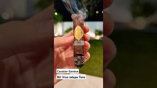 💨🔥CAVALIER Genève BII Viso Jalapa🌙 cigar cigars cigarlife lighter asmr shorts [upl. by Docile]