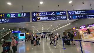 A Walk in Terminal 2 T2 Arrivals PVG Shanghai Pudong International Airport 上海浦东国际机场 China 中国 [upl. by Arnold608]