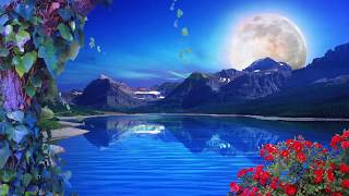 Nature Background Loop  Free Background  HD  60 fps [upl. by Orelee]