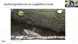 Emerging Contaminants in Stormwater Webinar [upl. by Cobb]