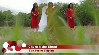 Cherish the Blood  The Foster Triplets [upl. by Snider]