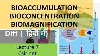 bioaccumulation bioconcentration and biomagnification diff explainedहिंदी मेंCSIR NET lecture 7 [upl. by Erb]