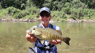 Summer Fly Fishing For Smallmouth on The Meramec River [upl. by Brendan]