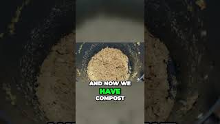 Transforming Food Waste into NutrientRich Compost for a Greener World [upl. by Ignacio]