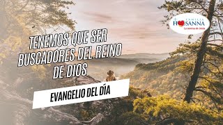 Tenemos que ser buscadores del Reino de Dios Evangelio​DeHoy Jueves 14 Noviembre 2024 PadreJohn [upl. by Ora]