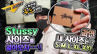 그것이 궁금하다 오사카에서 스투시 후드를 사왔습니다 STUSSY 후드티 내 사이즈를 알아보자 스투시 언방싱 리뷰  STUSSY Hoodie Size UNBOXING [upl. by Lacym]