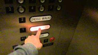 ThyssenKrupp Traction Elevators at NeurosensoryJones Tower Methodist Hospital in Houston TX [upl. by Arhoz384]