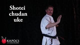 Karate Kyokushin  Shotei chudan uke  Kapocs Sportprogram [upl. by Bonny]