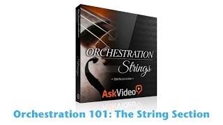 Orchestration 101 Course Release amp Party [upl. by Ilysa]