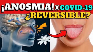 ¿ANOSMIA POR COVID19 REVERSIBLE  NUEVA INVESTIGACIÓN [upl. by Ennaillek]