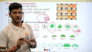 Identification of bacteria in Hindi II [upl. by Nosnarb]