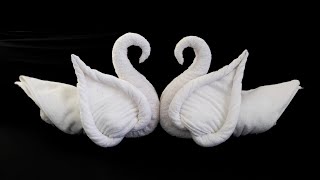 Swan Towel art  Swan Towel folding  Towel origami [upl. by Magnusson]