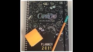 PLANNER Capricho 2018 O mais barato que ja encontrei [upl. by Peterson817]