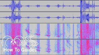 How To Show Spectrograms in Audacity  MUSICS How To Guides [upl. by Hertzfeld]