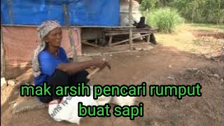 NGARIT RUMPUT BUAT SAPI [upl. by Auqinimod]