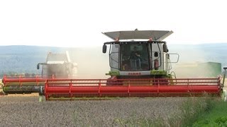 Claas Lexion 760 und Lexion 580  Weizenernte im Akkord [upl. by Verile]