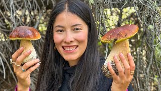 Foraging Mushrooms In Colorado [upl. by Wrench]