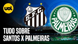 SANTOS X PALMEIRAS ONDE ASSISTIR AO VIVO HORÁRIO E ESCALAÇÕES NA FINAL DO PAULISTÃO 2024 [upl. by Hayne]