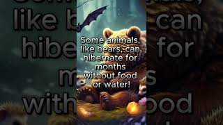 Why Do Some Animals Hibernate [upl. by Ravid]