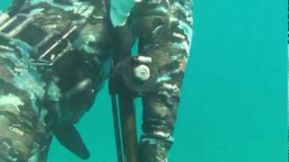 spearfishing Fl Keys Speardivers tv show [upl. by Bray]