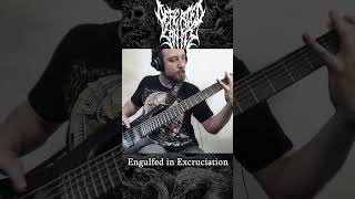 DEFEATED SANITY  Bass 💀 shorts metal brutal death deathmetalclassics bassguitar grind [upl. by Emmaline666]