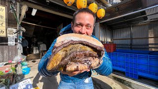 RecordBreaking ABALONE SASHIMI Freshest Japanese Food  Seafood Oyster Huts [upl. by Aneelak653]