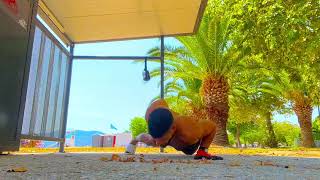 Palm trees and onearm pushups [upl. by Ahsenrad]