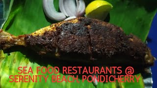 Seafood restaurants in Serenity Beach Pondicherry Pondicherry trip August 2024 [upl. by Vi]