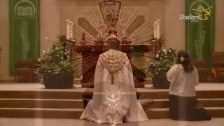 Eucharistic Adoration St Stephen Catholic Church [upl. by Materse806]