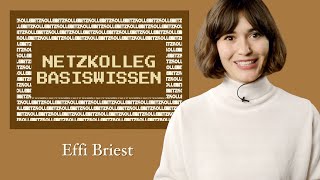 Netzkolleg Basiswissen – Effi Briest Grundlagen der Literaturwissenschaft  Abiturvorbereitung [upl. by Arianna890]