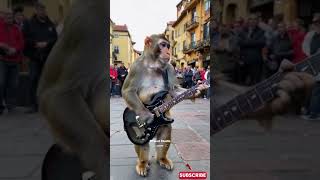 Viral Monyet Main Gitar di Alun Alun Rusia empudstudiogrup empudstudioai shorts [upl. by Arch892]