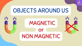 Let’s Check  Magnetic Or Non Magnetic  Objects Around Us  Kids [upl. by Waechter209]