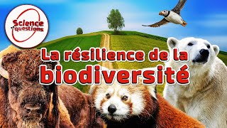 La résilience de la biodiversité  Science En Questions [upl. by Ajed]