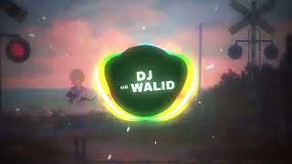 instrumentalRai jadid 2024REmix jadid by dj walid  Mr [upl. by Nelav]