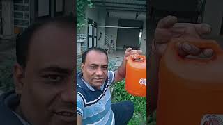 Ye Bhi Hai Sabjiyo Ka Achook Upay minivlogs dailyminivlogs villagelife palfamilyvlogs [upl. by Atipul586]