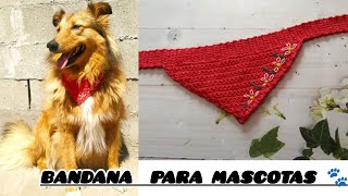 Mascotas🐾🥰 tejemos bandana a crochet paso a paso fácil económico y rápidopara principiantes 👏🎉🐾 [upl. by Lrak789]