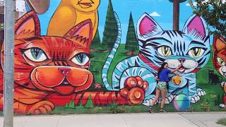 WHERE TO FIND TORONTO CAT MURALS  MEOW VLOG [upl. by Tak]