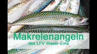 Makrelenangeln des LFV Weser Ems [upl. by Radek]