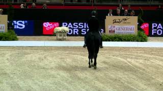 Noble Dream amp Marc Boblet Equita Lyon CDI4 Freestyle 01 11 13 [upl. by Savick273]