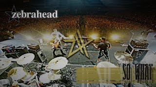 Zebrahead – So What – Official Video [upl. by Normi878]