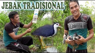 CARA MUDAH Membuat Jebak BURUNG BABURAK  RUAK RUAK  WAK WAK  AYAM AYAMAN Secara TRADISIONAL [upl. by Yecats549]