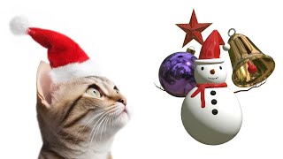 CAT GAMES  JOGOS PARA GATOS  ESPECIAL DE NATAL  CHRISTMAS SPECIAL [upl. by Israel]