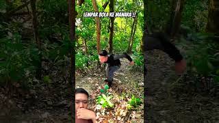 Lempar bola ke menara travel kungfu hiking vlog funny facts [upl. by Flavio800]