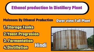 Ethanol Production From Molasses in Distillary Plantschemicaltechnical [upl. by Wagner]