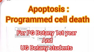 Apoptosis Programmed cell death botanysourcebotany cellbiologycsirnetlifescience cellbiology [upl. by Ahseyd]