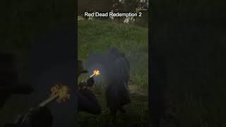 Red Dead Redemption 2 ısdonedll [upl. by Lamont630]